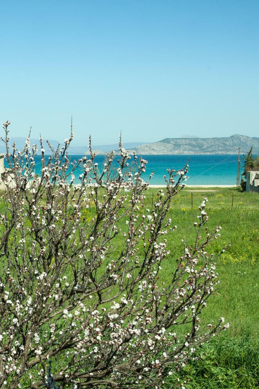 Phoenix Beachside Condos Kokkónion 외부 사진